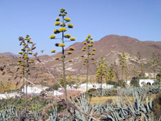Las presillas, a proximite de la mer