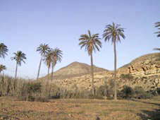 El Playazo