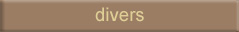 divers