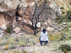 visionado de portafolios de fotos