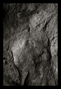 Ammonites, Oscar Molina