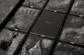 Caja de ammonites, Oscar Molina