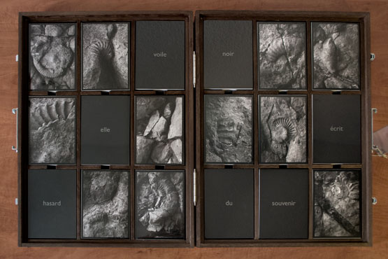Caja de ammonites, Oscar Molina